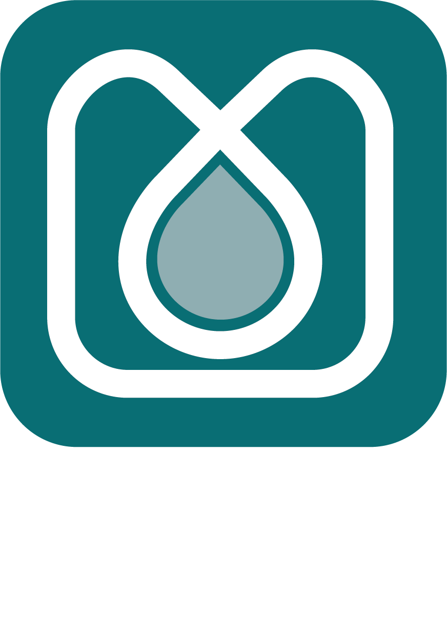 Logo de MéthaSim by Ifip